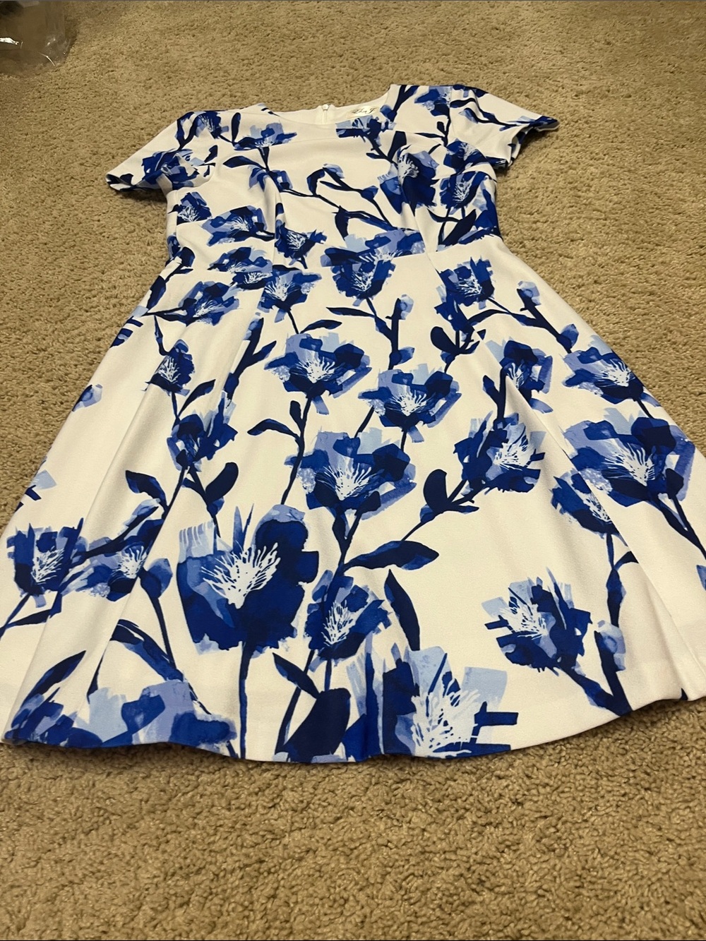 Eliza J White and Blue Floral Fit-and-Flare Dress